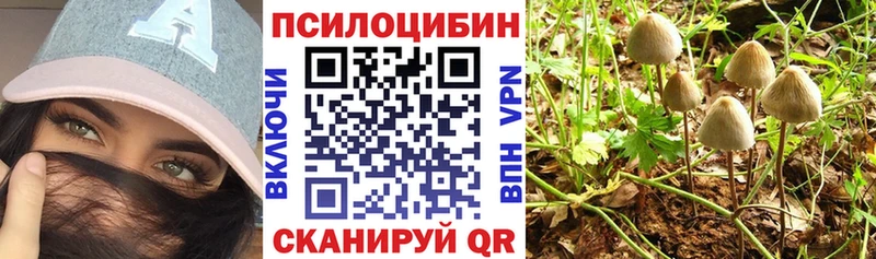 Псилоцибиновые грибы прущие грибы  наркотики  Задонск 