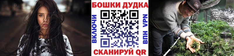 Канабис сатива  Задонск 